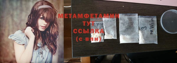 ПСИЛОЦИБИНОВЫЕ ГРИБЫ Ельня