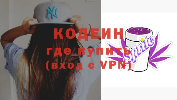 ПСИЛОЦИБИНОВЫЕ ГРИБЫ Ельня