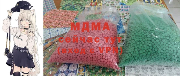 ПСИЛОЦИБИНОВЫЕ ГРИБЫ Ельня