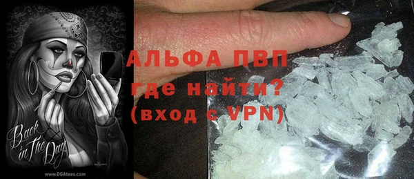 ПСИЛОЦИБИНОВЫЕ ГРИБЫ Ельня