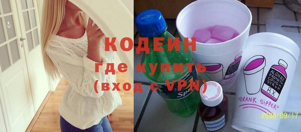 ПСИЛОЦИБИНОВЫЕ ГРИБЫ Ельня
