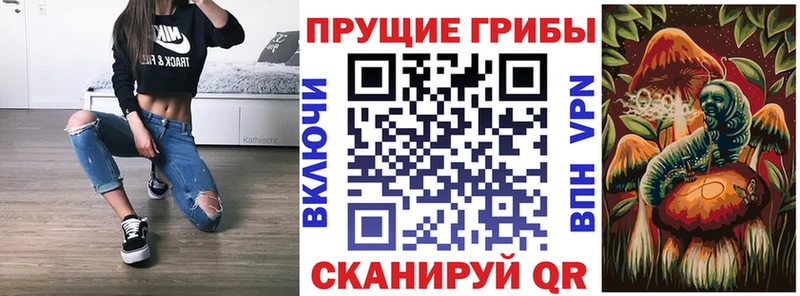 Псилоцибиновые грибы GOLDEN TEACHER  где можно купить   Орск 